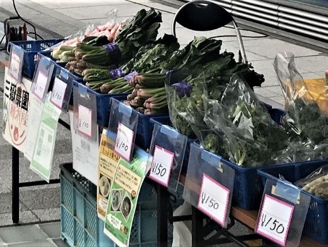 0315fujisawasan1
