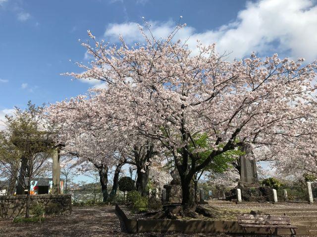 0406iseyama1