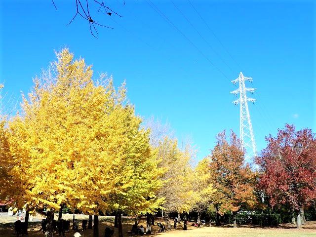 1204kouyou1