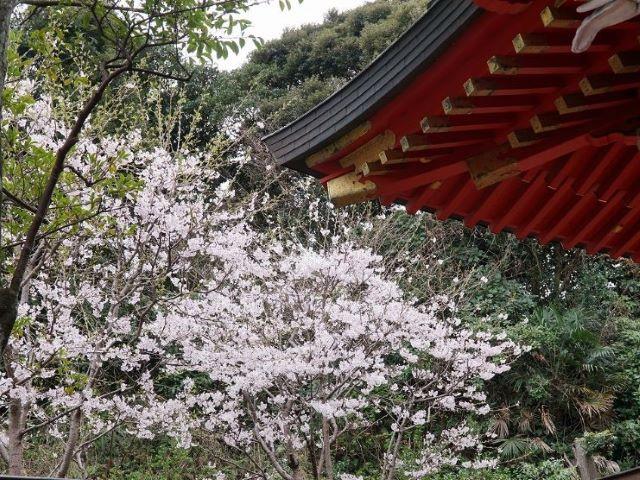 0402enosima