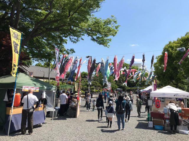 0507shirahata2